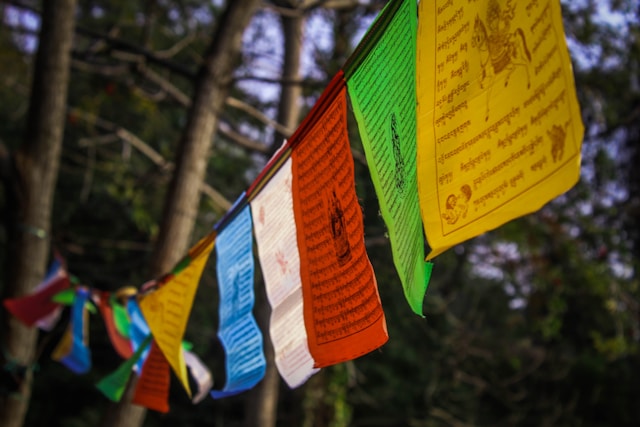 buddha colors