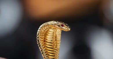 snake symbol, dreaming about snakes