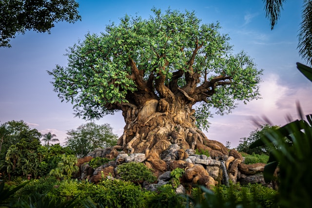 Tree of Life sculpture at Disney’s Animal Kingdom in Florida.