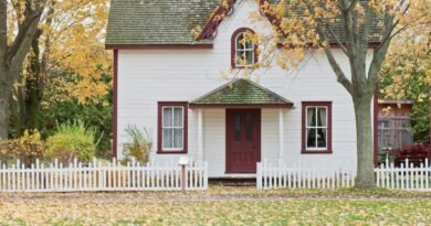 Dreaming about a house